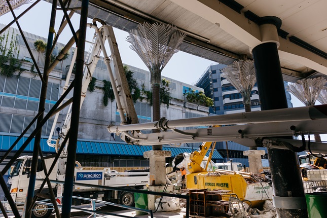 Inside the construction work at Te Matapihi library, looking out at three Nikau Palms.