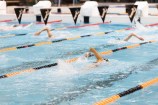 People swimming in a pool with lanes.