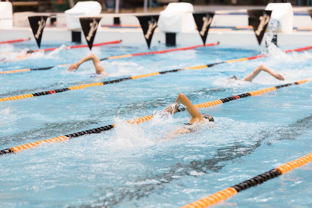 People swimming in a pool with lanes.