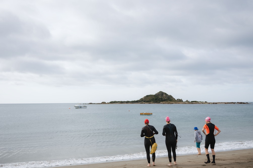 Group of people swimming in the ocean.