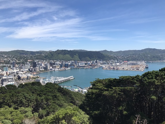 Central city from Mt Victoria lookout.