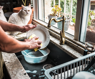 Cat sitting next to a sink as a person washes dishes.