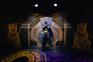 Black Panther in an exhibition.