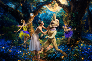 Promotional image of the RNZB Midsummer night's dream show