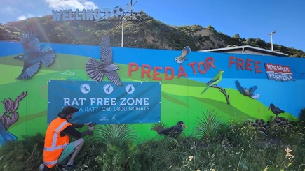 Colourful mural with a person in a high vis vest crouching down infront of it, adjusting a sign reading 'Rat free zone'. 