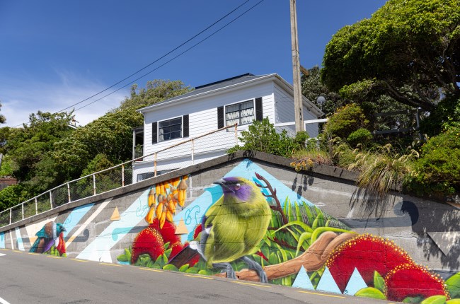 Mural brings pop of colour to Wadestown