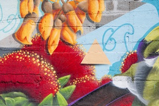 Close up of a colourful mural with pohutakawa and kowhai flowers.