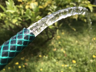 Water pouring from a garden hose.