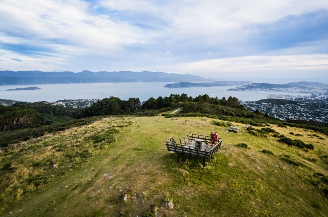 Volunteers strengthen Wellington skyline's defence against possums