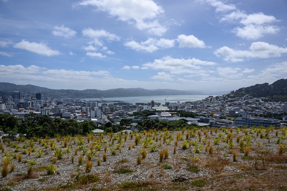 Opening event for the Omāroro Reservoir project showing city in background