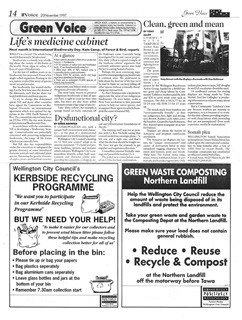 City Voice publication.