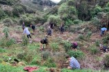 Volunteers in Makara Peak.