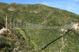 Bridge in Makara Peak.