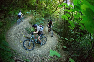 People on bikes going around the koru trail in Makara Peak.