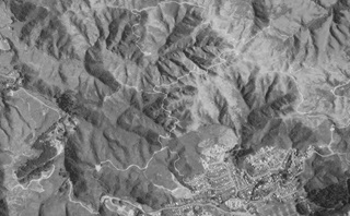 Archive image of Makara Peak before it was a mountain bike park.