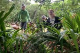 Four people tending to vegetation at Makara Peak.