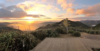 Mākara Peak platform and view of the park.