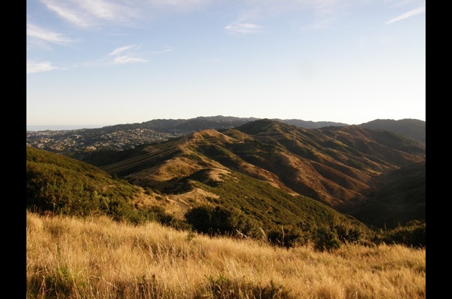 Friday Five: Celebrate the great parks of Pōneke