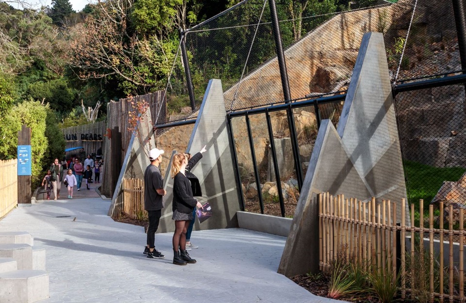 People looking at snow leopards in enclosure at Te Nukuao Wellington Zoo.