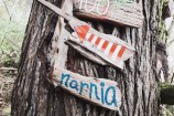 Photo of Tree with multiple signs on it. Signs read: Hogwarts, 100 acre woods, Narnia.