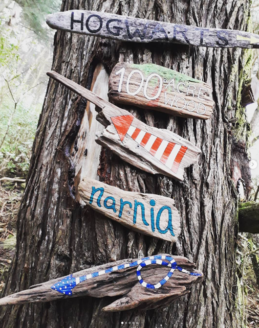 Photo of Tree with multiple signs on it. Signs read: Hogwarts, 100 acre woods, Narnia.