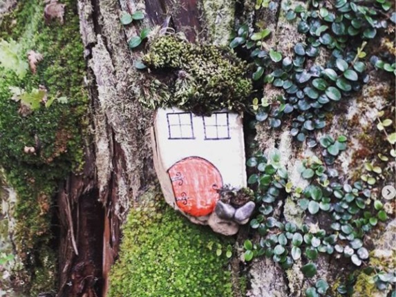 Image of a small fairy house on a tree. the fairy house has a red door. 