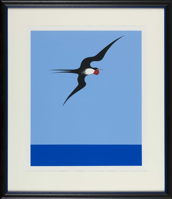 painting of a of a Pacific Frigate Bird over a block blue background.