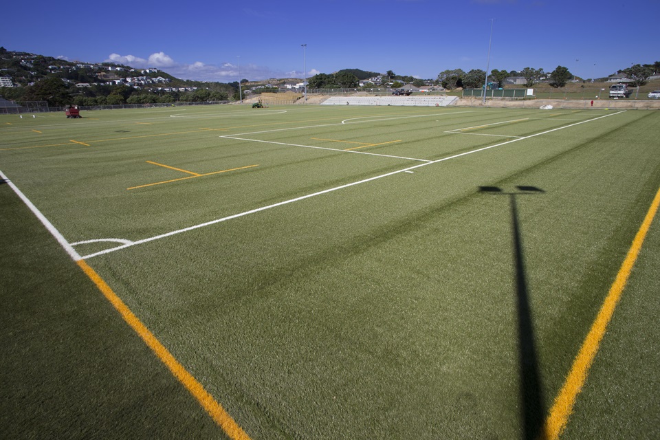 Close up on Alex Moore Park turf.