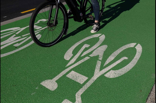 Island Bay bike lane data helping improve the city's bike network