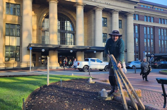 A different type of planter box: A chat with Gardener Tom