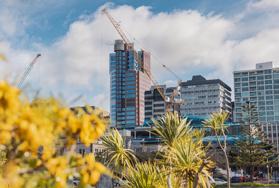 Tower crane with foliage in foreground and buildings behind.