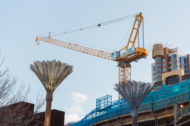Tower crane with nikau in foreground and buildings behind.
