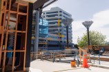Construction outside Te Matapihi central library with the nikau palms.