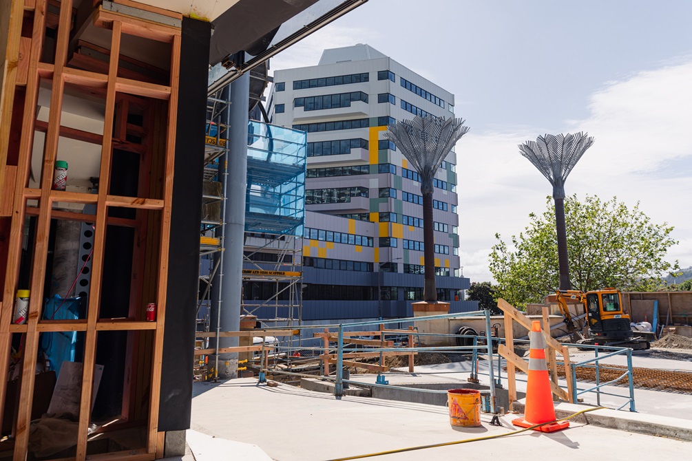 Construction outside Te Matapihi central library with the nikau palms.