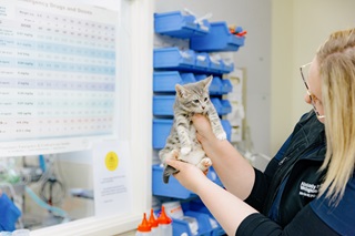 A woman with glasses holding a very tiny kitten in her hands.