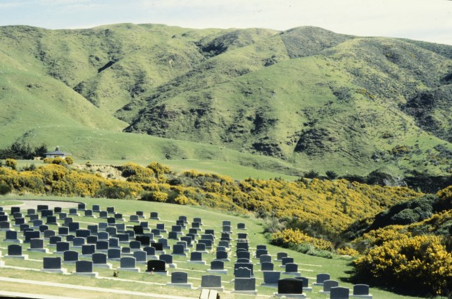 Unearthing the story behind Wellington's cemeteries