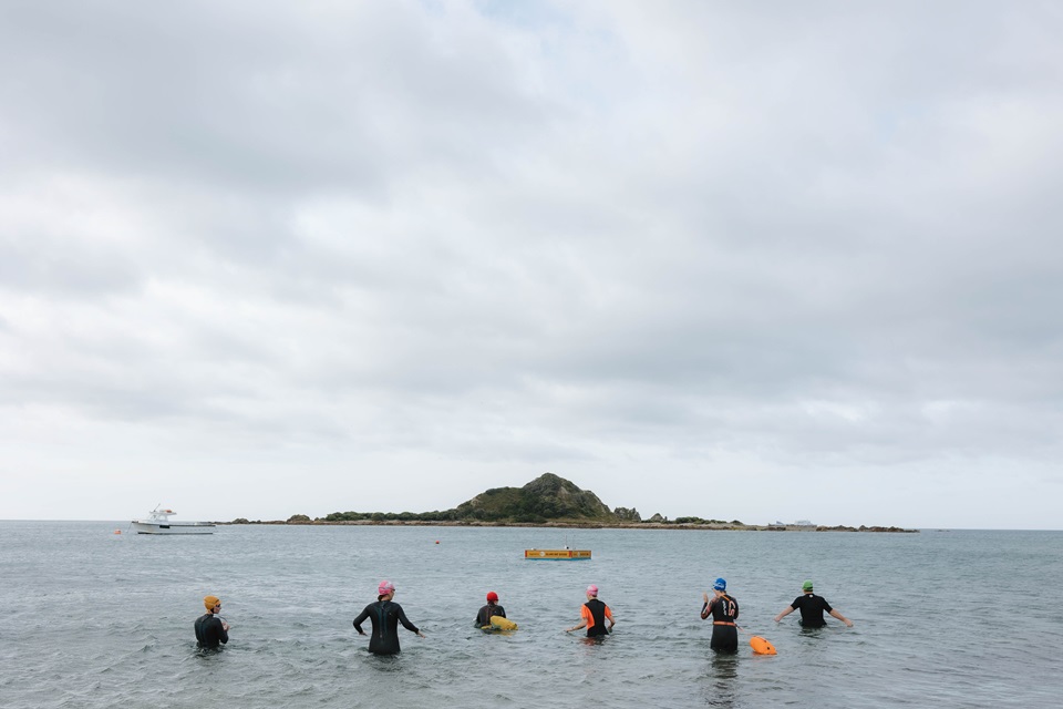 Group of swimmers in wetsuits heading into the sea in Island Bay with Taputeranga Island in the background.