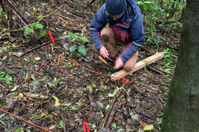 Mākara Peak Supporters: Restoring Nature, One Seed at a Time
