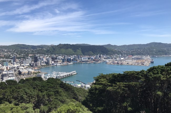 Central city and harbour from Mt Victoria.