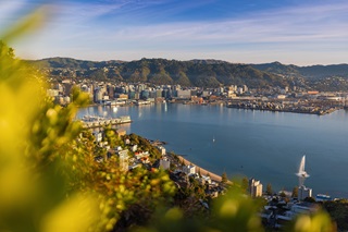 A hilly landscape covered with city buildings surrounding a large harbour.