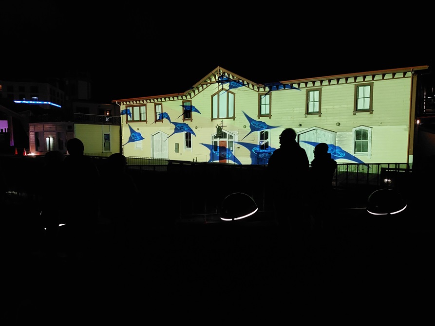 The Star Boating club lit up with an animated projection of stingrays swimming across the building.