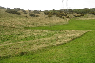 View of Caribbean Avenue reserve