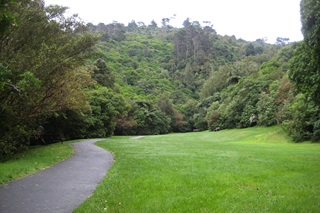 View of Khandallah Park, with bush on background hills.