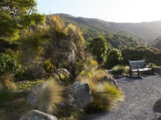 A park bench in front of a forest in the daytime.