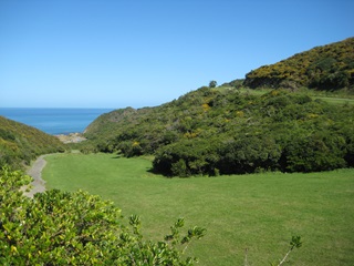 Rangitatau Park