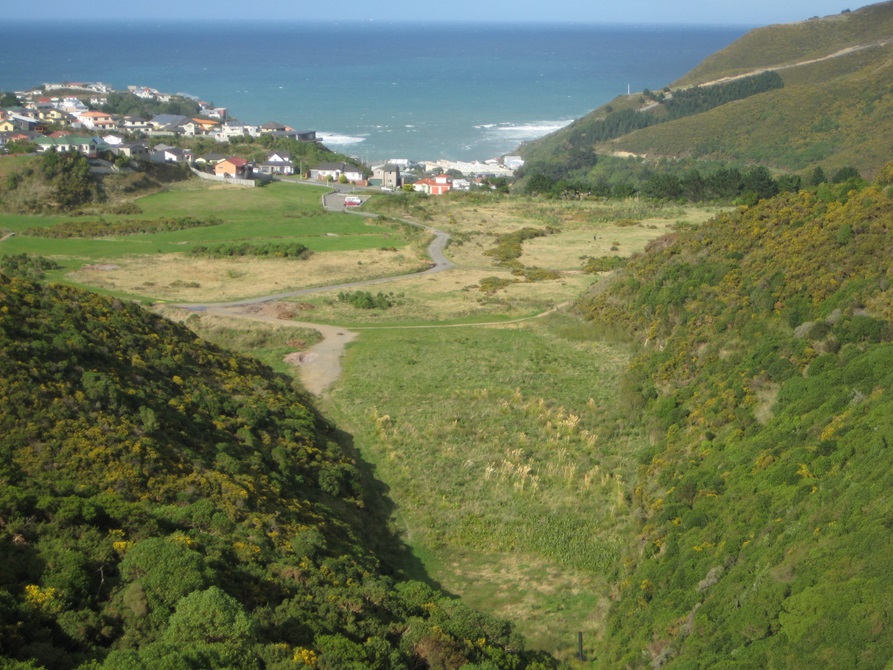 View of Tawatawa Reserve from above.