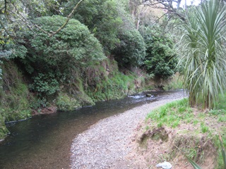 Willowbank Reserve