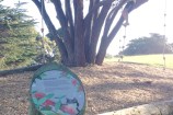 A young boy climbs up the play equipment along the matairangi nature trail.