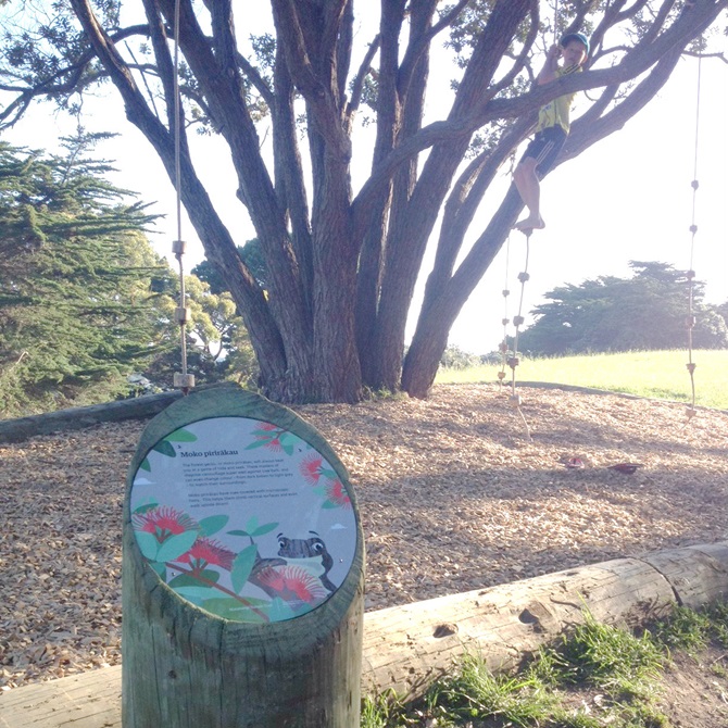 A young boy climbs up the play equipment along the matairangi nature trail.