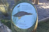 A signpost with information about the matuku hūrepo.